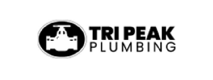 Logo 3